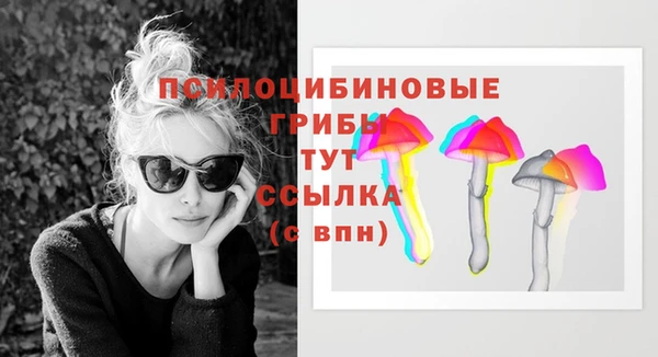 гидропоника Нязепетровск