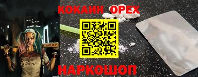 шишки Кимры