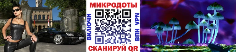 Галлюциногенные грибы Psilocybe  Чистополь 