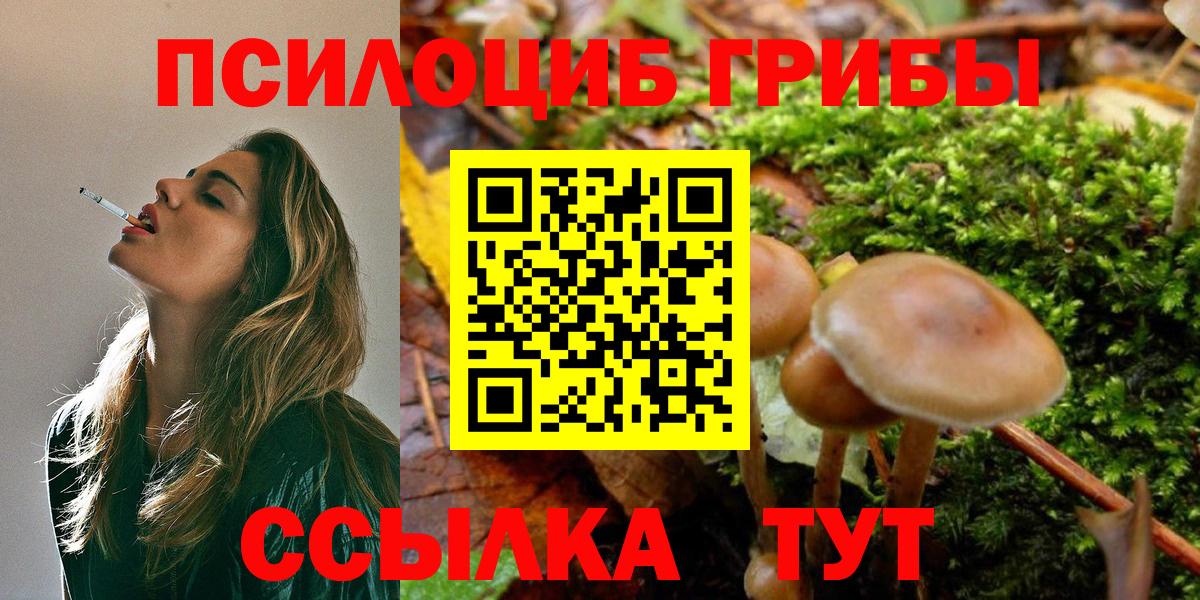 Галлюциногенные грибы ЛСД Чистополь
