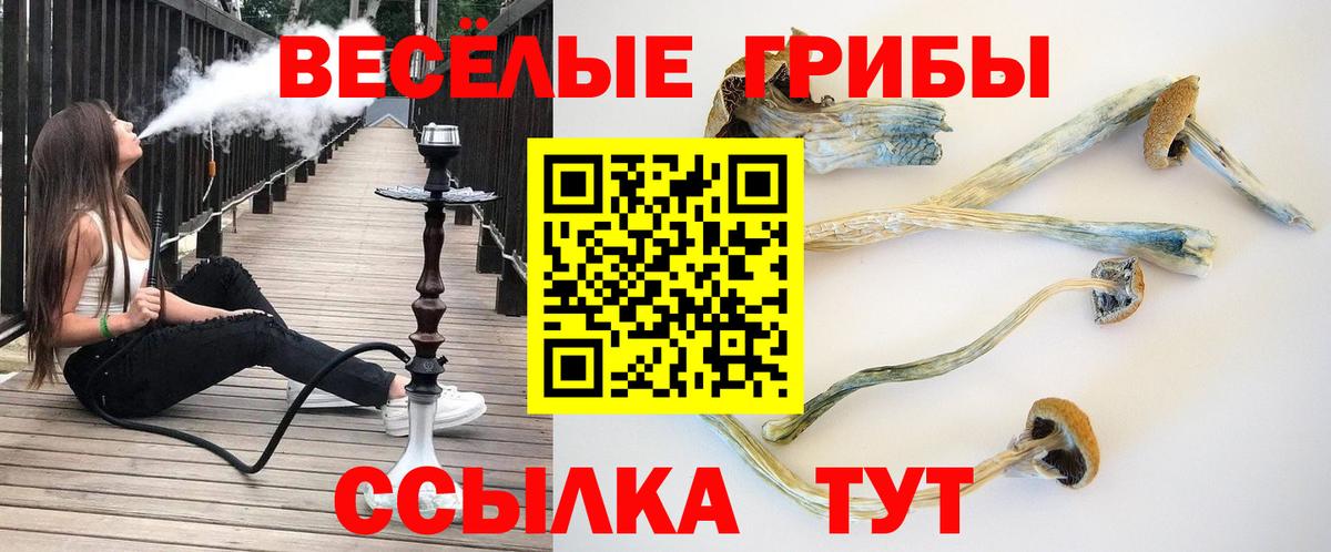 Псилоцибиновые грибы GOLDEN TEACHER  Псилоцибиновые грибы мухоморы  Вход с VPN  Чистополь 